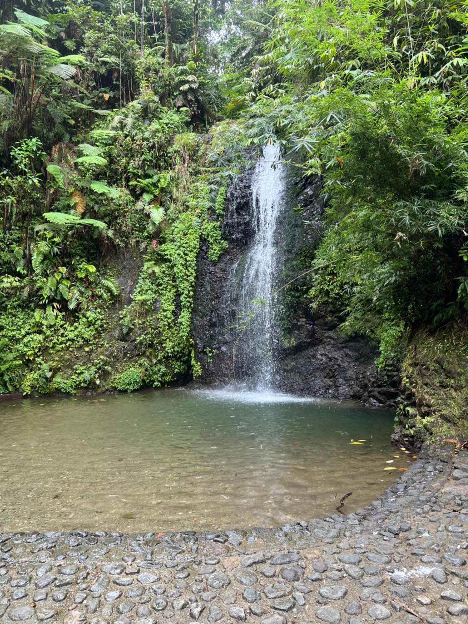 Fond-Saint-Denis Le Ketmie Nature Et Decouverte מראה חיצוני תמונה