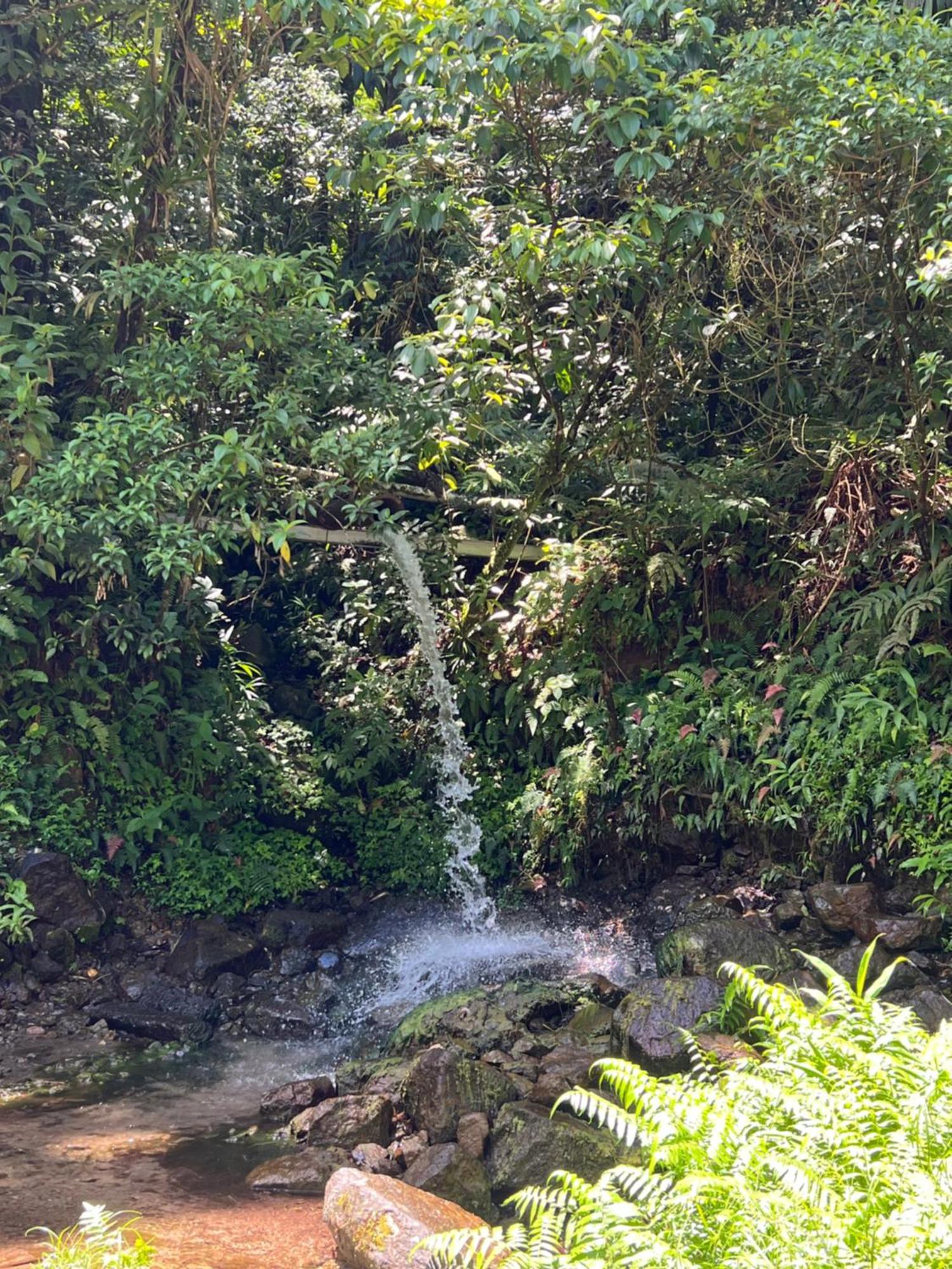 Fond-Saint-Denis Le Ketmie Nature Et Decouverte מראה חיצוני תמונה