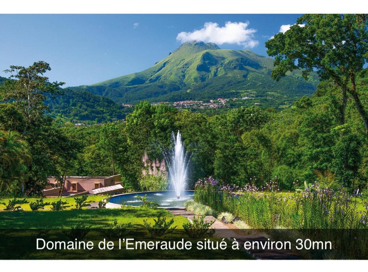 Fond-Saint-Denis Le Ketmie Nature Et Decouverte מראה חיצוני תמונה